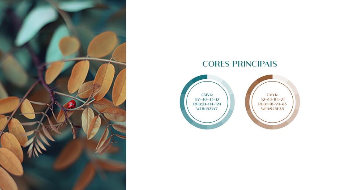 KAFRINA美容護膚產(chǎn)品品牌logo/vi設計，雙A字母+橢圓形品牌形象識別