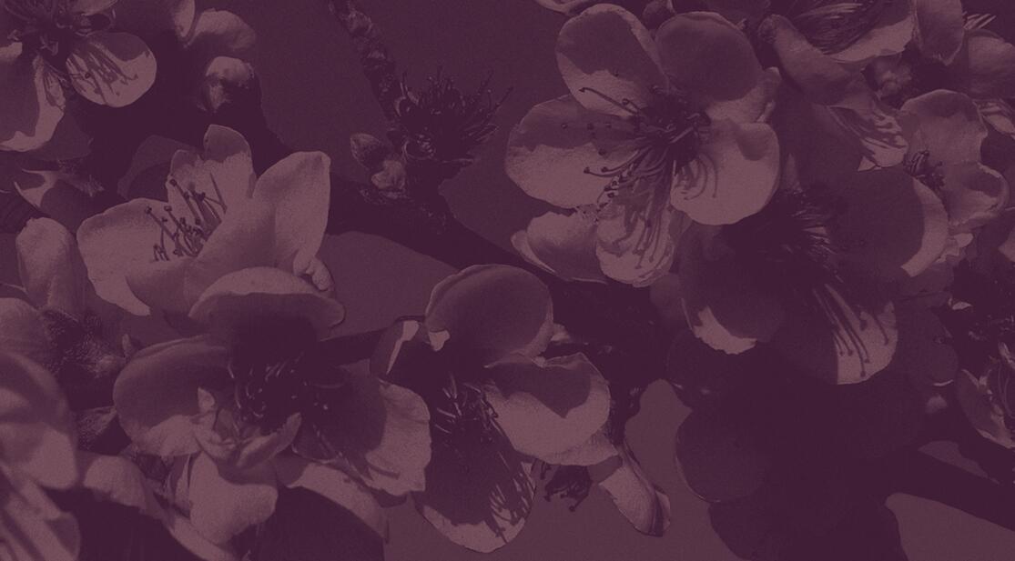 Espa?o Dermato 皮膚病醫(yī)療診所及醫(yī)美醫(yī)院logo設(shè)計(jì)vi設(shè)計(jì)，桃花元素