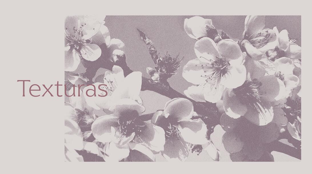 Espa?o Dermato 皮膚病醫(yī)療診所及醫(yī)美醫(yī)院logo設(shè)計(jì)vi設(shè)計(jì)，桃花元素