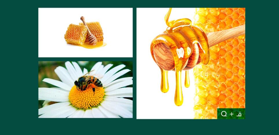 Qatfa 蜂蜜在線商店對(duì)稱Q字母logo設(shè)計(jì) Qatfa 蜂蜜在線商店對(duì)稱Q字母logo設(shè)計(jì)