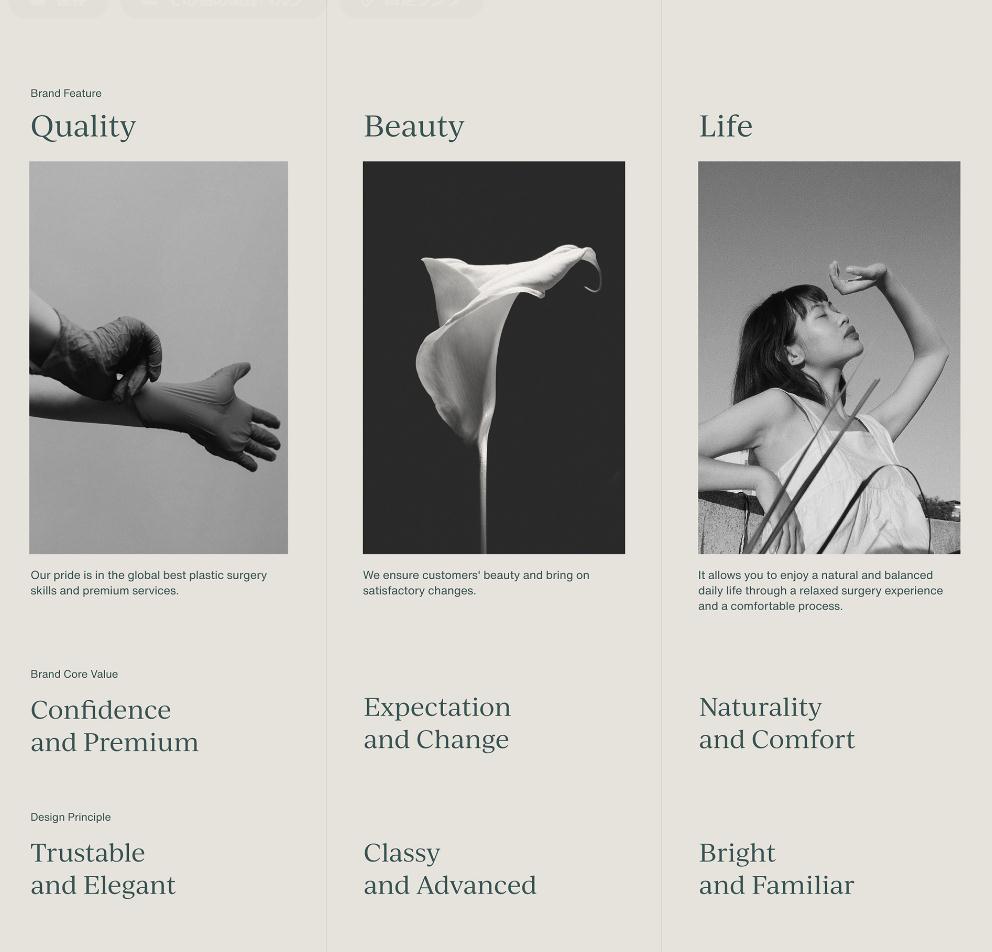 wonjin韓國(guó)醫(yī)療美容整形機(jī)構(gòu)整套vi設(shè)計(jì)，低調(diào)暗綠色風(fēng)格