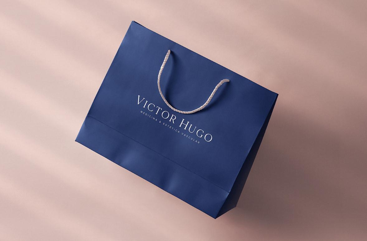 ViH血管醫(yī)學(xué)私人診所品牌識(shí)別logo設(shè)計(jì)，皇家深藍(lán)色和玫瑰色膚色