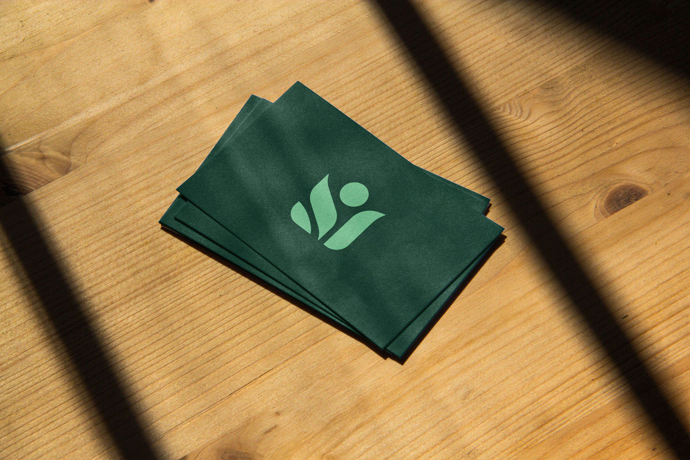 CNH全天然清潔公司logo設(shè)計“綠色花朵”元素 CNH全天然清潔公司logo設(shè)計“綠色花朵”元素