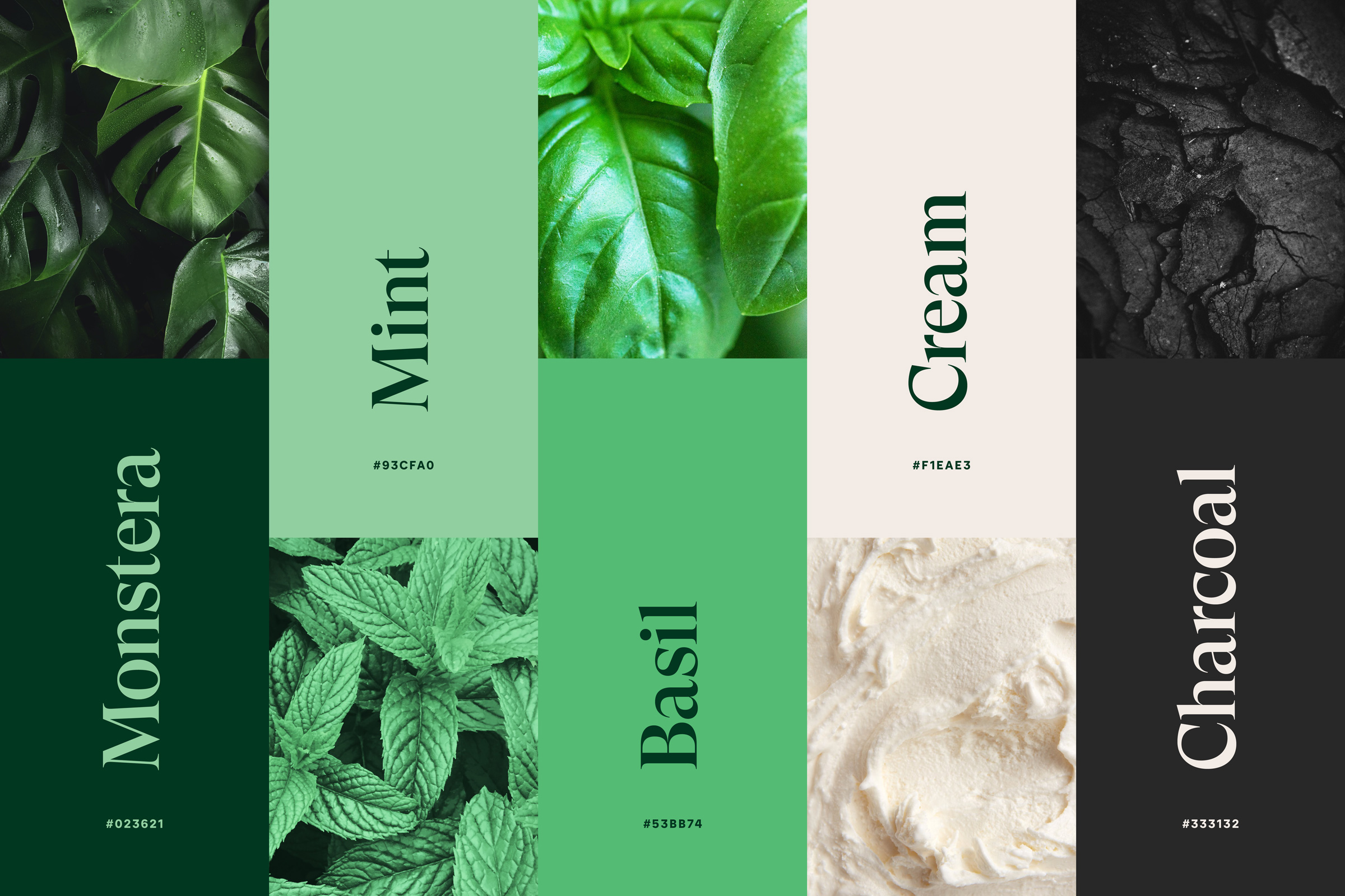 CNH全天然清潔公司logo設(shè)計“綠色花朵”元素 CNH全天然清潔公司logo設(shè)計“綠色花朵”元素