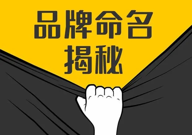 10個新興小眾有一定影響力的中小品牌命名及其命名方式