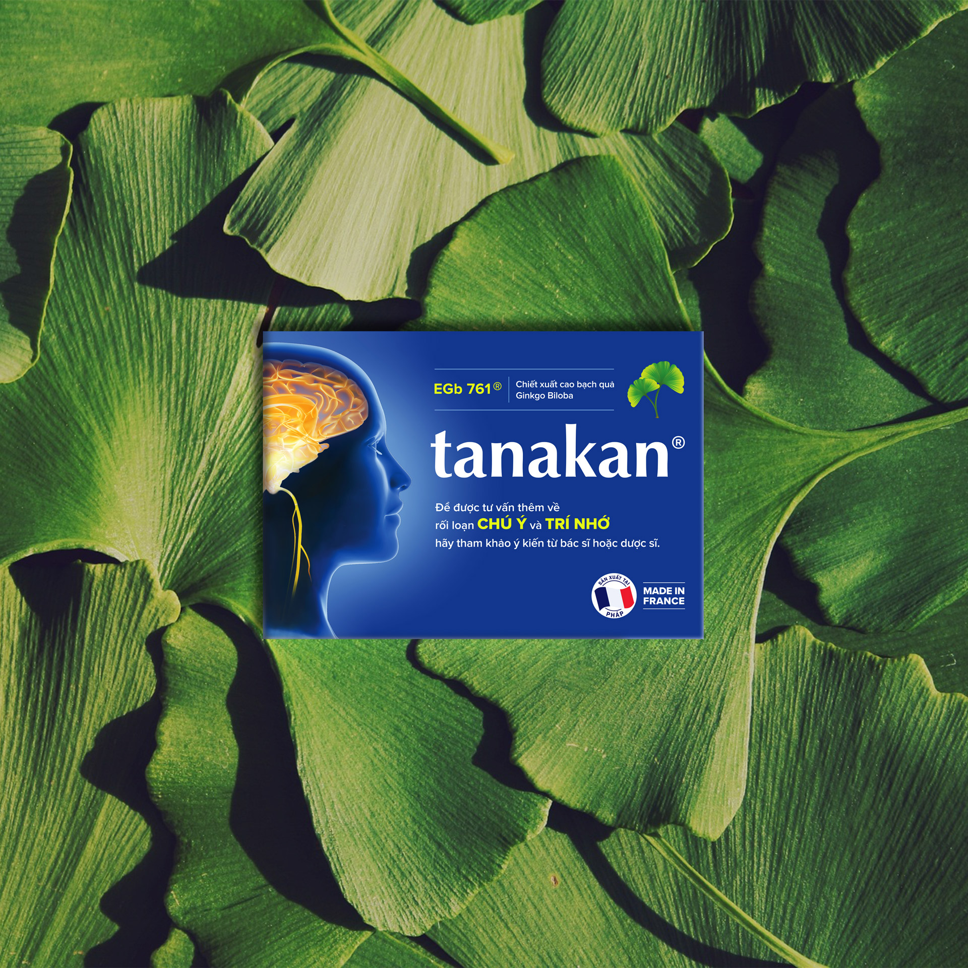 Tanakan 銀杏葉刺五加心腦健康藥品保健品包裝設計