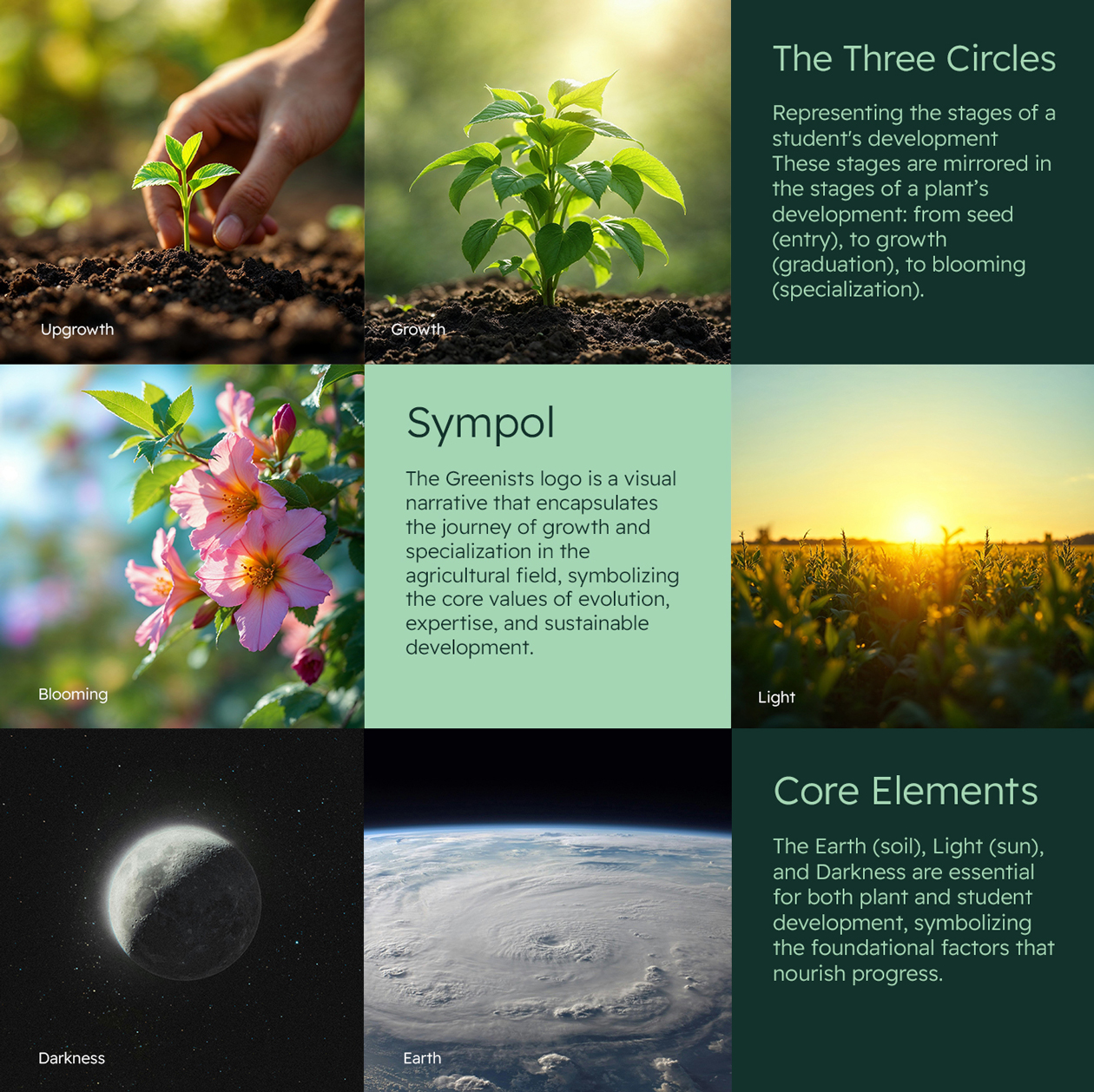 Greenists農(nóng)業(yè)教育學(xué)院綠色G字母logo設(shè)計(jì)vi視覺(jué)形象設(shè)計(jì) Greenists農(nóng)業(yè)教育學(xué)院綠色G字母logo設(shè)計(jì)vi視覺(jué)形象設(shè)計(jì)