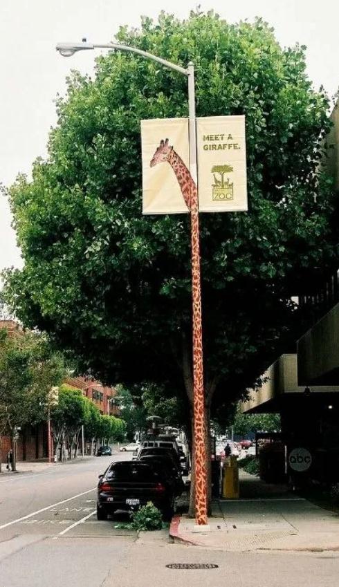 .圣地亞哥動(dòng)物園戶外道旗廣告 .圣地亞哥動(dòng)物園戶外道旗廣告