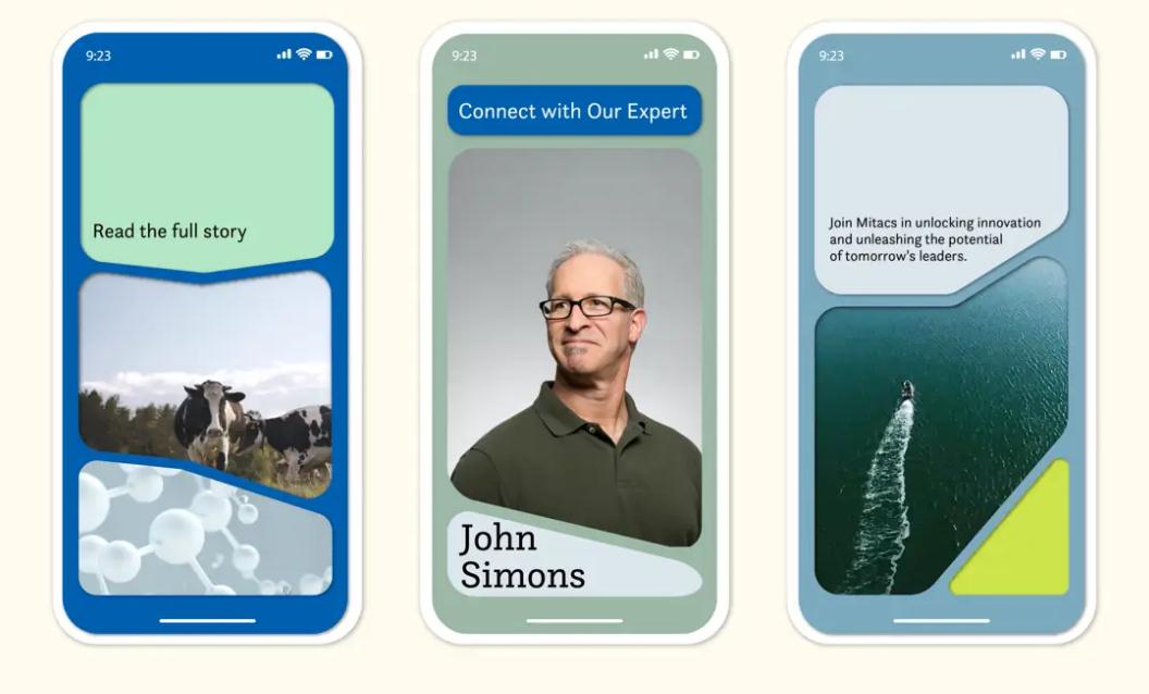 加拿大Mitacs企業(yè)創(chuàng)新孵化器投資公司新品牌視覺設(shè)計logo&vi設(shè)計 加拿大Mitacs企業(yè)創(chuàng)新孵化器投資公司新品牌視覺設(shè)計logo&vi設(shè)計