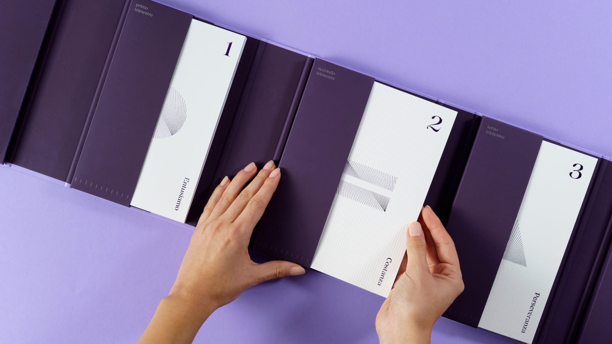 Efficacemente 教育課程套件禮盒包裝設(shè)計(jì)平面設(shè)計(jì),紫色幾何線條風(fēng)格 Efficacemente 教育課程套件禮盒包裝設(shè)計(jì)平面設(shè)計(jì),紫色幾何線條風(fēng)格