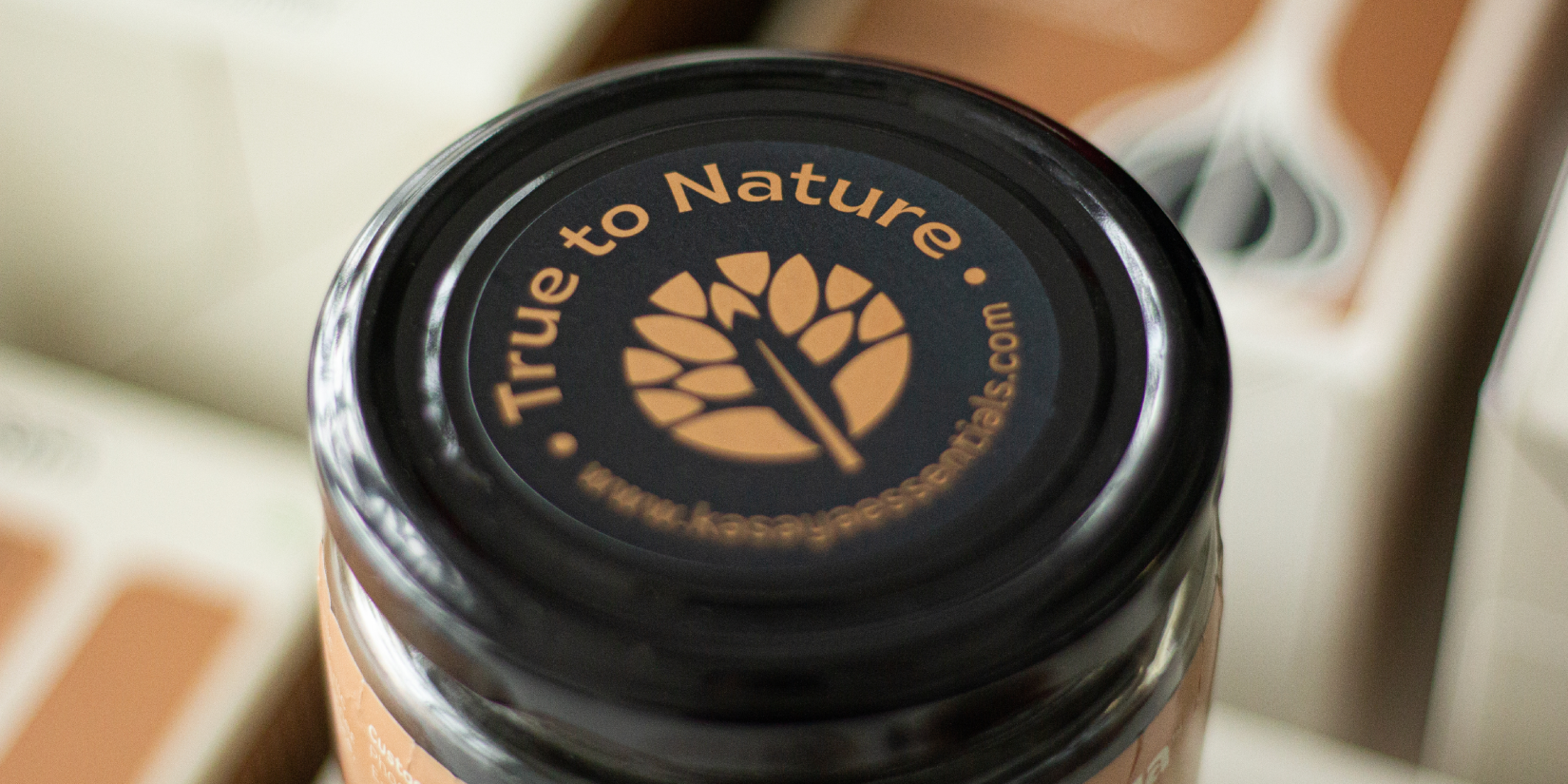 Kasaya發(fā)酵黑蒜健康養(yǎng)生滋補(bǔ)品品牌創(chuàng)建-命名-logo-包裝設(shè)計(jì) Kasaya發(fā)酵黑蒜健康養(yǎng)生滋補(bǔ)品品牌創(chuàng)建-命名-logo-包裝設(shè)計(jì)