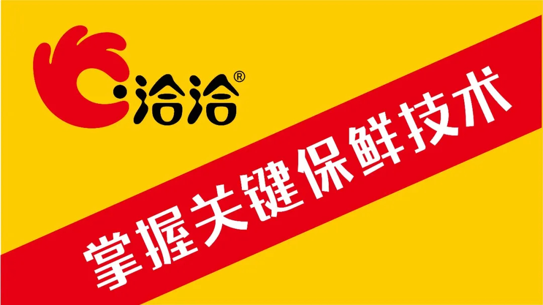 洽洽條子設(shè)計(jì) 洽洽條子設(shè)計(jì)