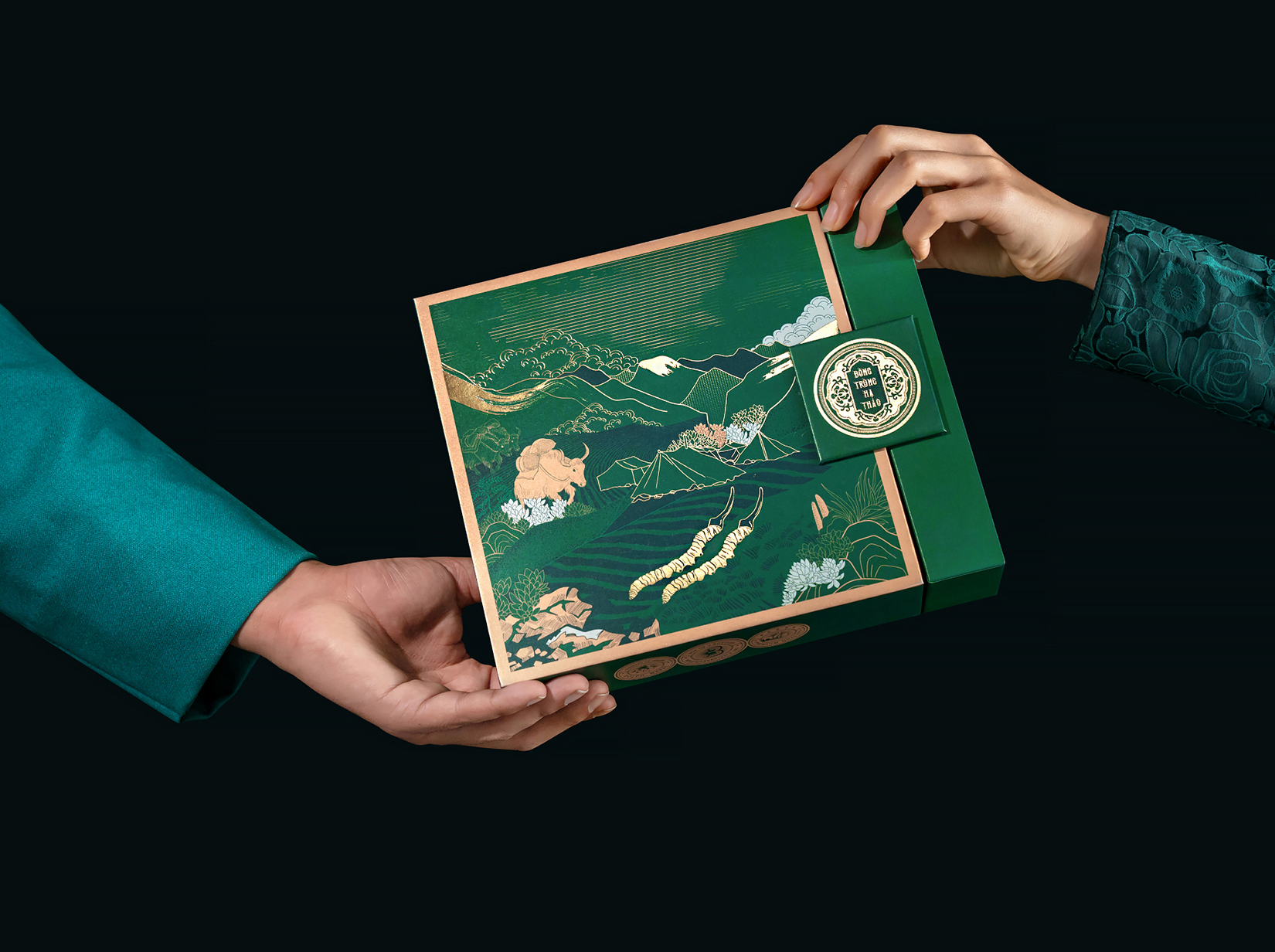 喜馬拉雅山冬蟲夏草套裝禮品禮盒包裝設(shè)計(jì)“自然山脈風(fēng)景”插畫 喜馬拉雅山冬蟲夏草套裝禮品禮盒包裝設(shè)計(jì)“自然山脈風(fēng)景”插畫