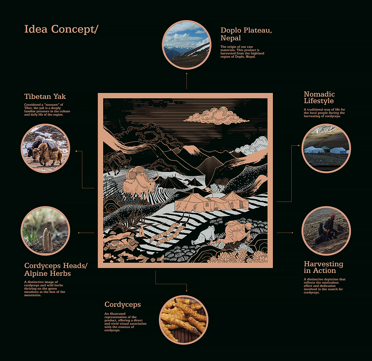 喜馬拉雅山冬蟲夏草套裝禮品禮盒包裝設(shè)計(jì)“自然山脈風(fēng)景”插畫 喜馬拉雅山冬蟲夏草套裝禮品禮盒包裝設(shè)計(jì)“自然山脈風(fēng)景”插畫