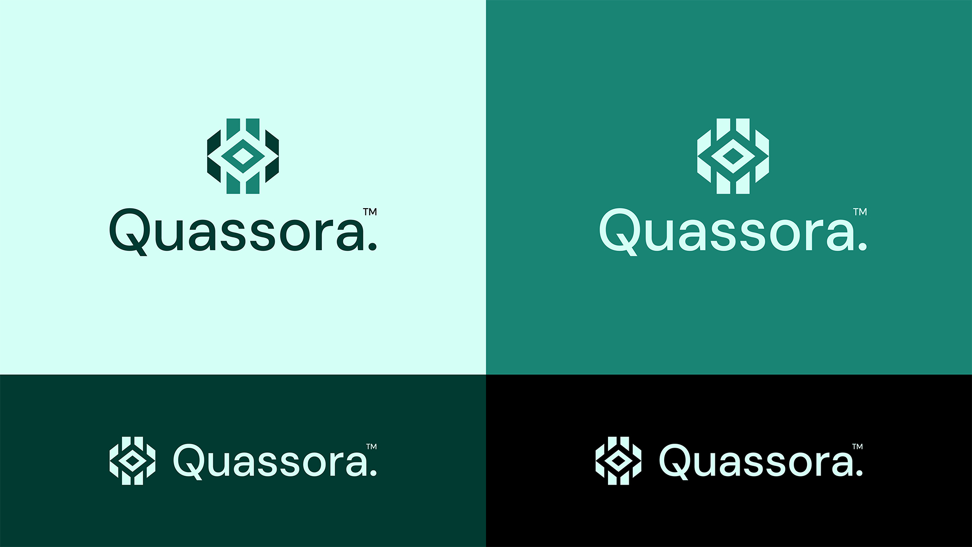 Quassora IT科技初創(chuàng)公司logo設(shè)計視覺識別vi設(shè)計，芯片與編碼元素