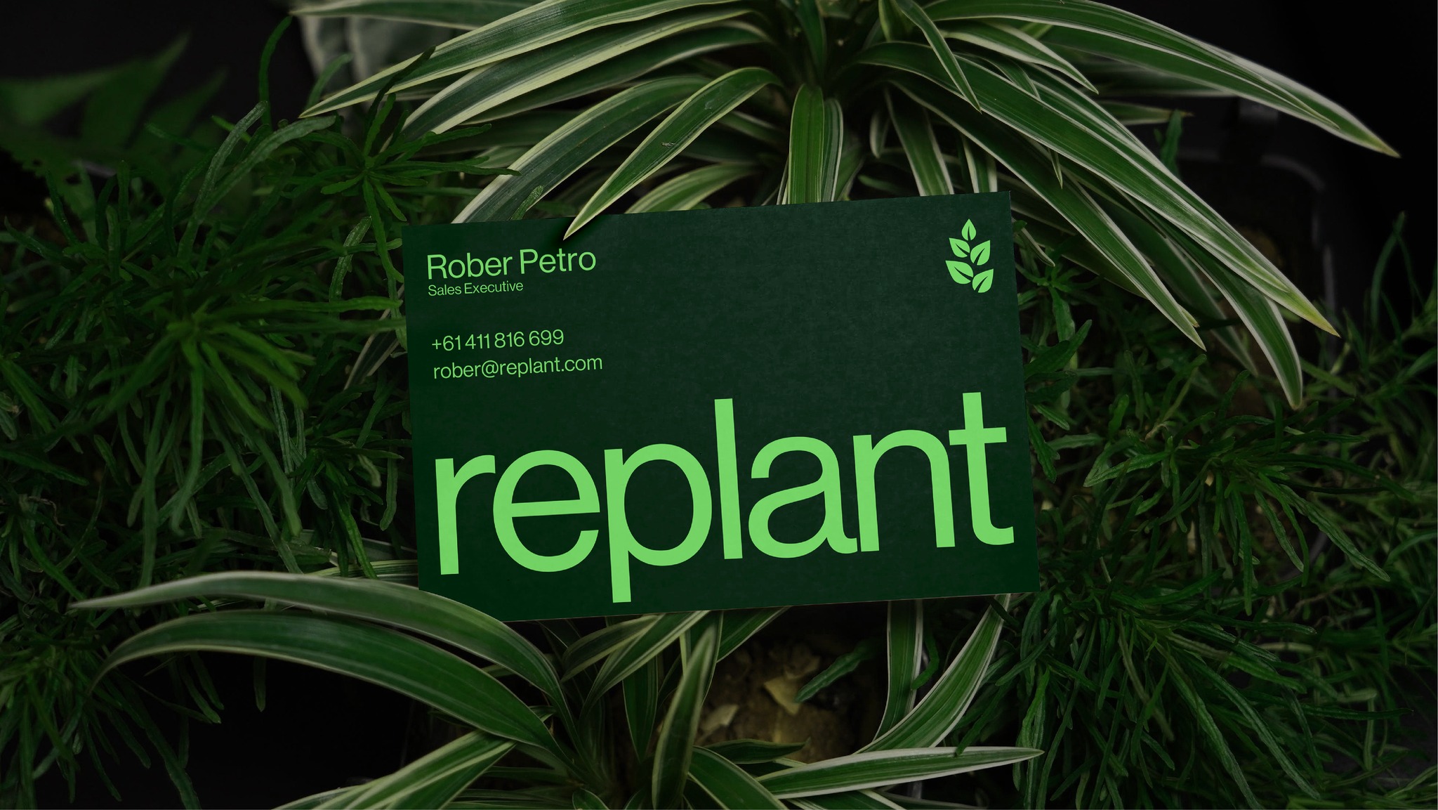 Replant 有機再生農(nóng)業(yè)技術(shù)品牌形象logo設(shè)計vi設(shè)計“自然葉子” Replant 有機再生農(nóng)業(yè)技術(shù)品牌形象logo設(shè)計vi設(shè)計“自然葉子”