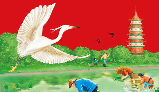 “有水有田”江蘇東臺(tái)大米品牌起名與包裝設(shè)計(jì)