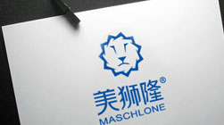 美獅隆門窗品牌全案策劃設(shè)計(jì)