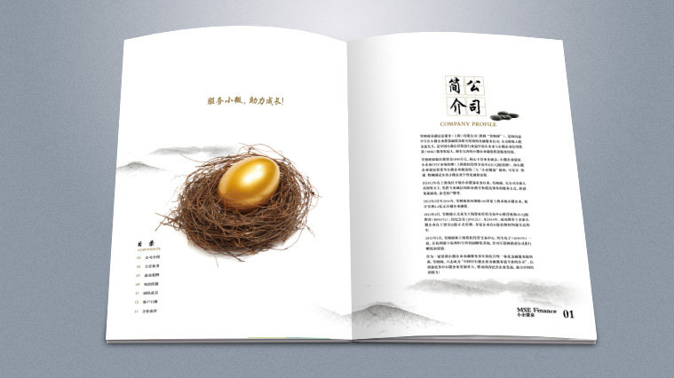 實(shí)則硬小微企業(yè)金融服務(wù)企業(yè)宣傳畫冊設(shè)計(jì)-上海宣傳冊設(shè)計(jì)公司2