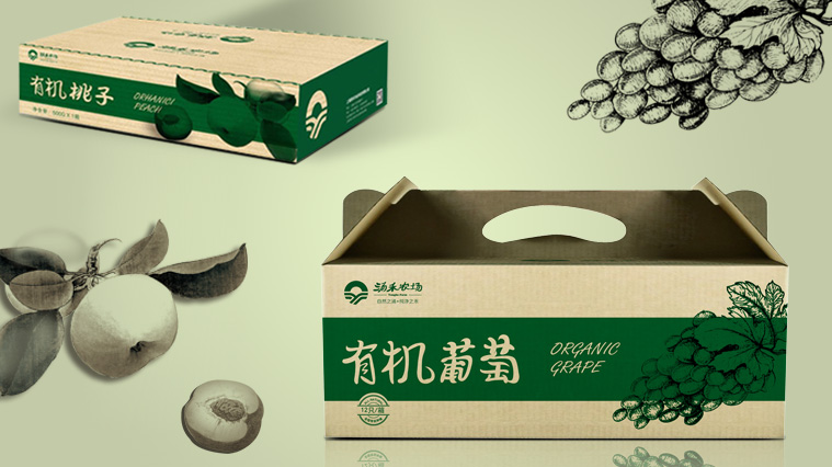 16涌禾農(nóng)場農(nóng)產(chǎn)品包裝設(shè)計-有機(jī)水果包裝設(shè)計-上海品牌全案策劃設(shè)計公司