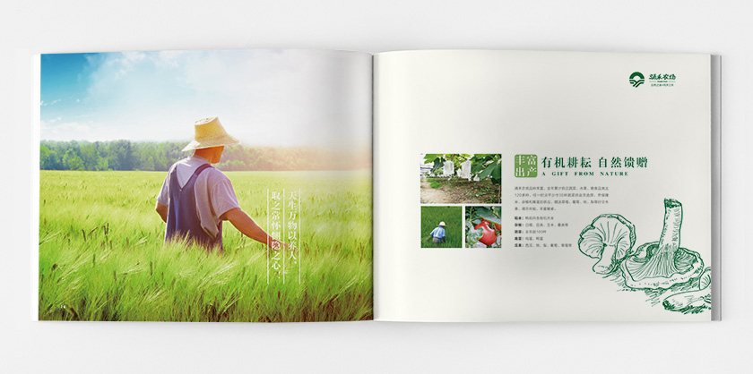涌禾農(nóng)場宣傳畫冊策劃設(shè)計
