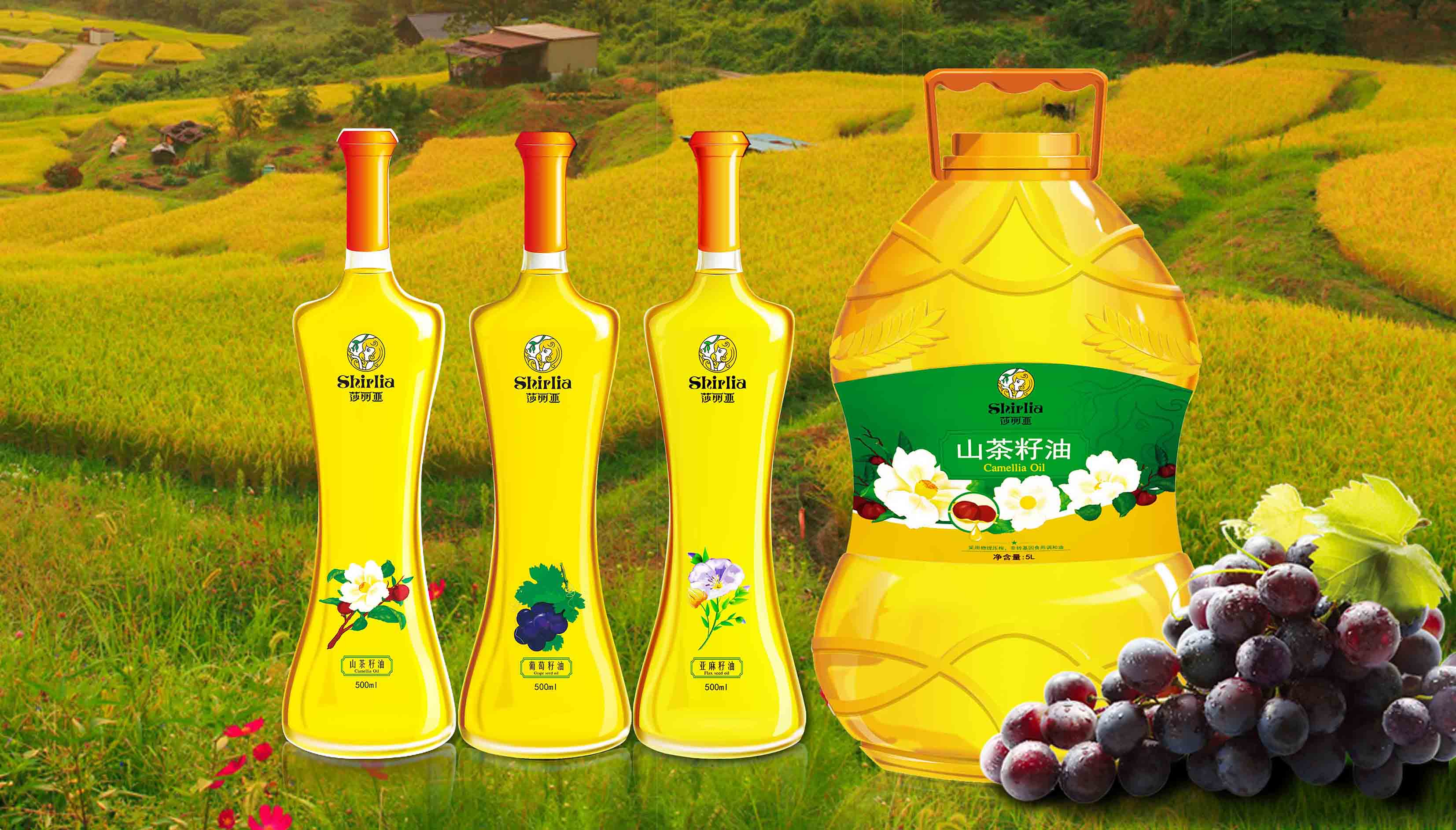 Shirlia 莎麗亞食用油包裝設(shè)計(jì)瓶形設(shè)計(jì)山茶油亞麻籽油葡萄籽油禮盒包裝設(shè)計(jì)