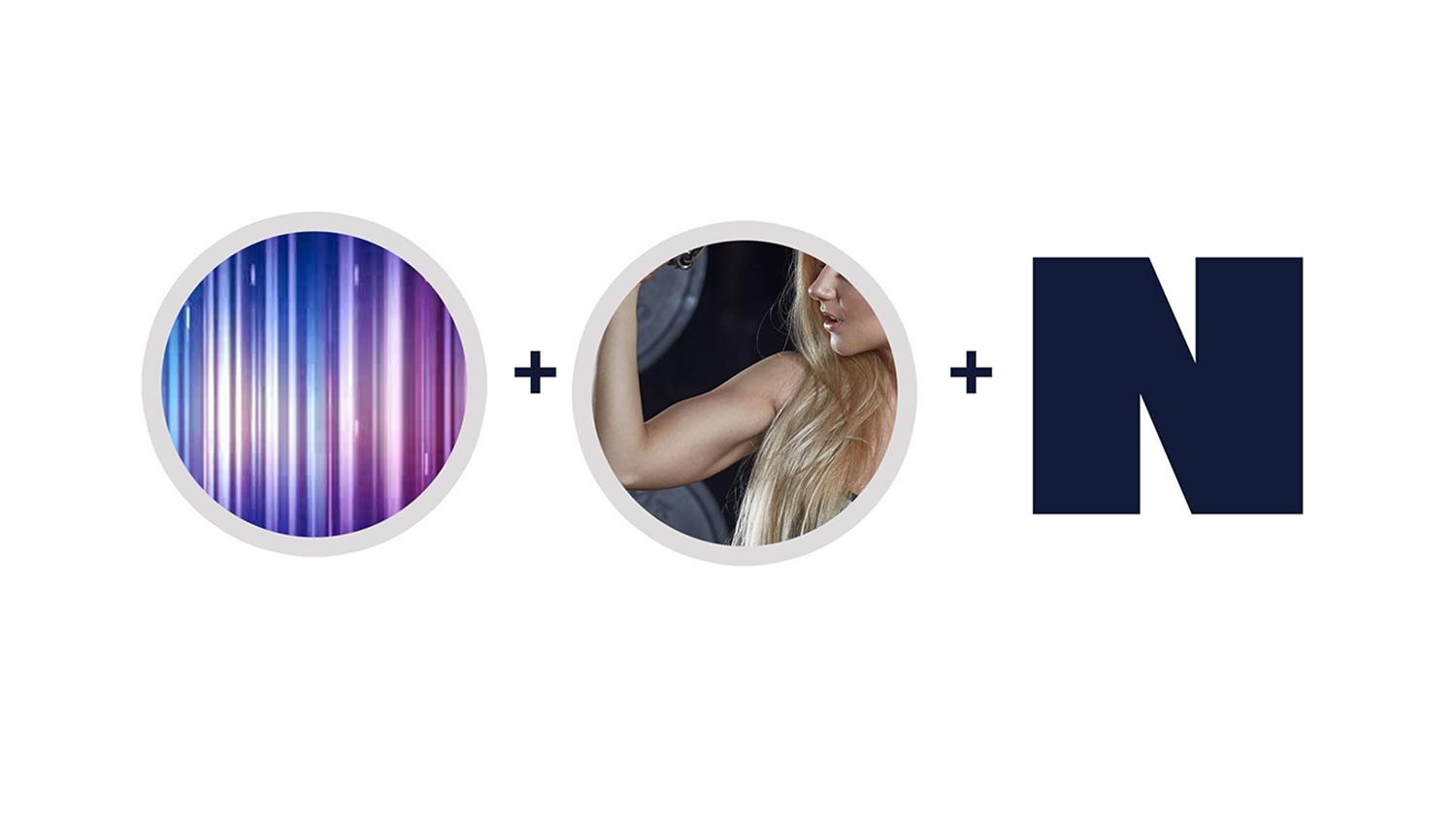 奈斯健身俱樂(lè)部高端會(huì)所logo設(shè)計(jì)vi設(shè)計(jì)