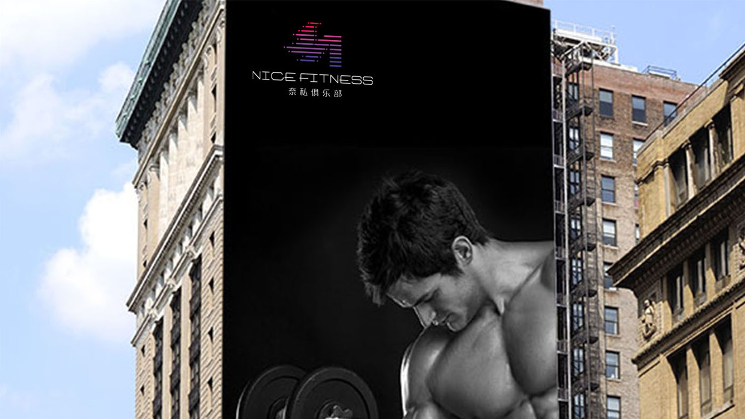 奈斯健身俱樂(lè)部高端會(huì)所logo設(shè)計(jì)vi設(shè)計(jì)