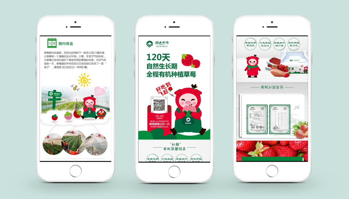 涌禾農(nóng)場有機草莓品牌全案策劃設計“草莓豬”IP吉祥物設計