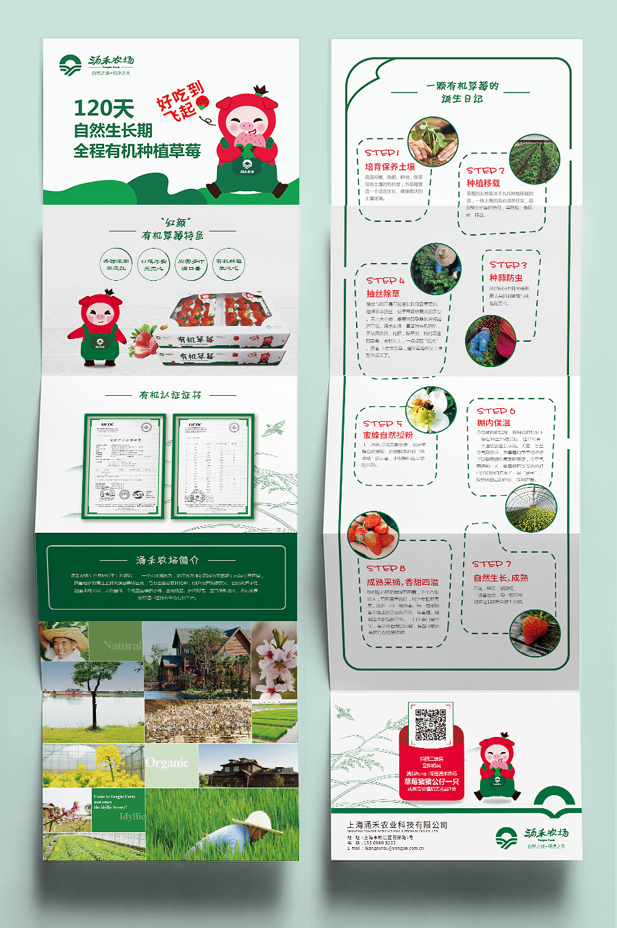 涌禾農(nóng)場有機草莓品牌全案策劃設計“草莓豬”IP吉祥物設計