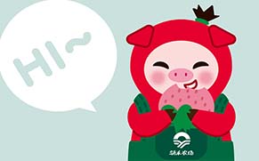 涌禾農(nóng)場有機(jī)草莓品牌全案策劃設(shè)計“草莓豬”IP吉祥物設(shè)計