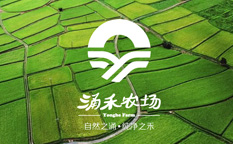 涌禾農(nóng)場農(nóng)業(yè)品牌商標LOGO設(shè)計品牌VI視覺形象設(shè)計