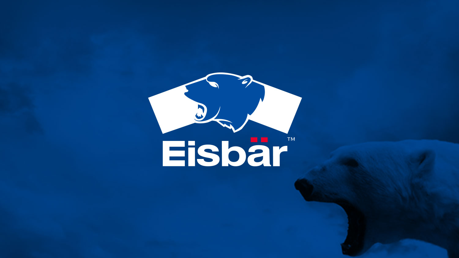 北極熊潤(rùn)滑油品牌logo設(shè)計(jì)包裝設(shè)計(jì)