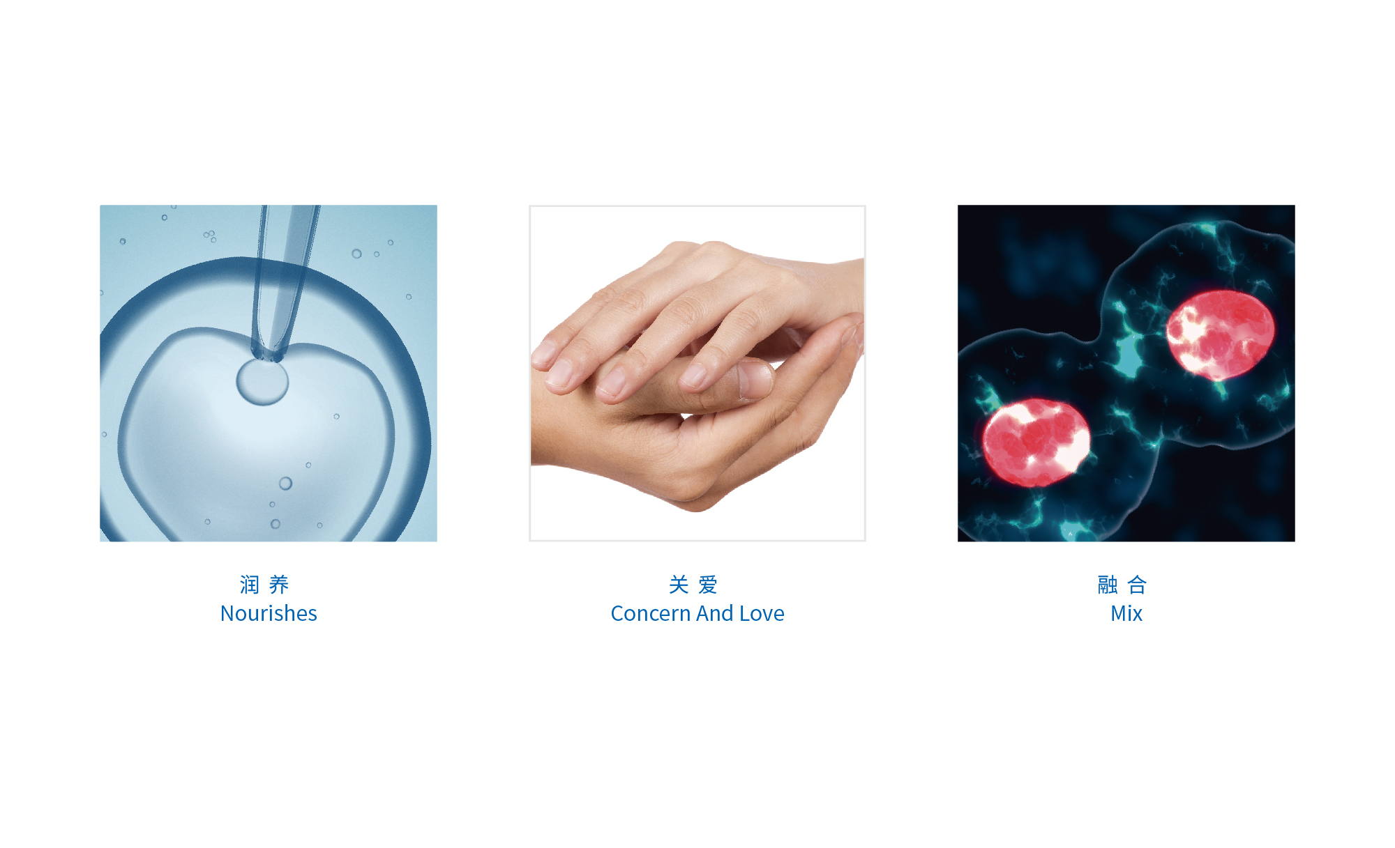 同潤生物醫(yī)藥（上海）有限公司logo設(shè)計(jì)