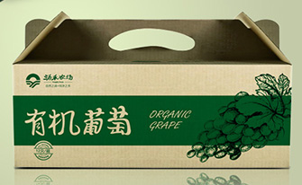 涌禾農(nóng)場有機(jī)大米蔬菜雞蛋水果腌制品農(nóng)產(chǎn)品包裝設(shè)計(jì)