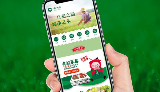 涌禾農(nóng)場(chǎng)農(nóng)產(chǎn)品電商有贊手機(jī)商城策劃設(shè)計(jì)