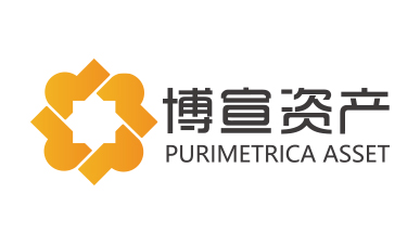 博宣投資管理公司logo設(shè)計提案