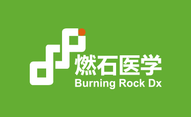 燃石醫(yī)學(xué)醫(yī)療品牌形象vi設(shè)計(jì)