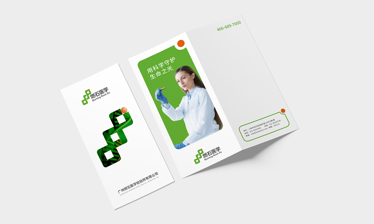 燃石醫(yī)學醫(yī)療品牌形象vi設計