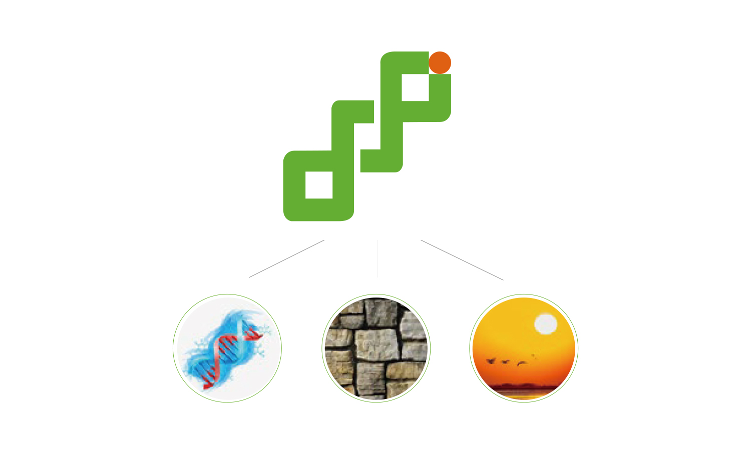 燃石醫(yī)學醫(yī)療品牌形象vi設計