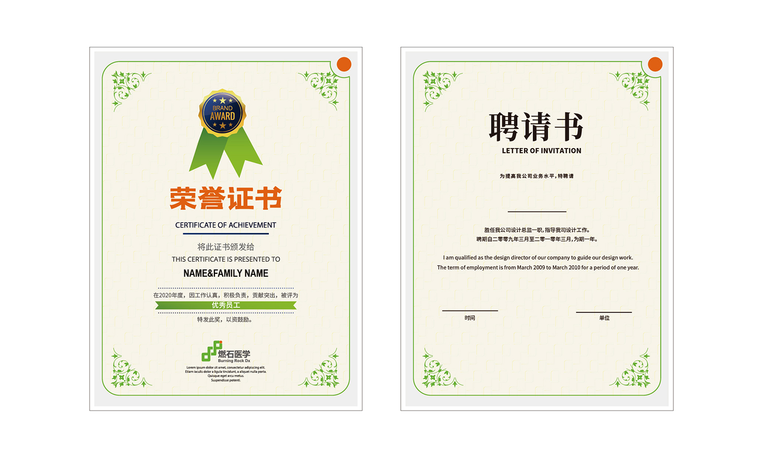 燃石醫(yī)學醫(yī)療品牌形象vi設計